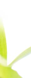 Site para imobili�rias